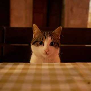 Land Jittaphoom photo