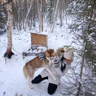 Nichawan Petchkul photo