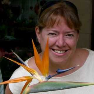 NancyBrownrigg avatar