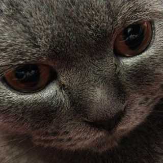 Sergiy Lovchyy photo