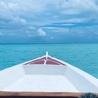 Janice Jeffery photo