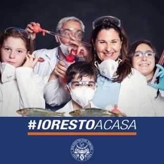 Chiara Vitale-Brovarone photo