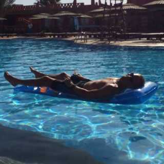 Dave Arnold-Cbe photo