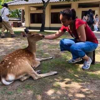 Ann Lioe-A-Tjam photo