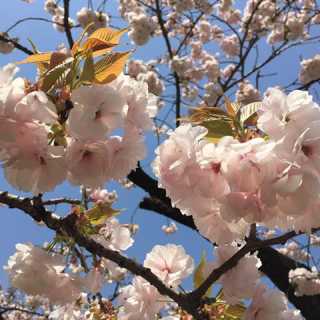 Roselyne Duquesne photo