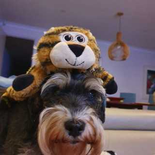 Jacqueline McMahon photo