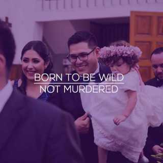 Andrea C-Andrade photo