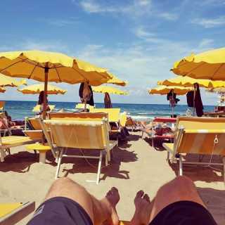 Carlos Madariaga photo