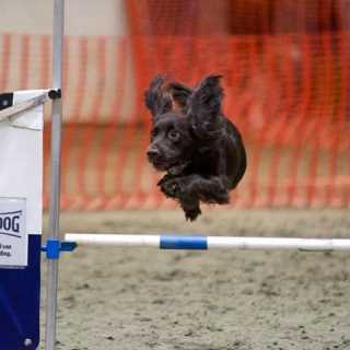 Marieke van-der-Weide photo