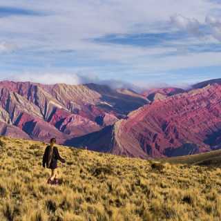 Marion Chatton photo