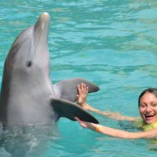 Lidija Haracic photo