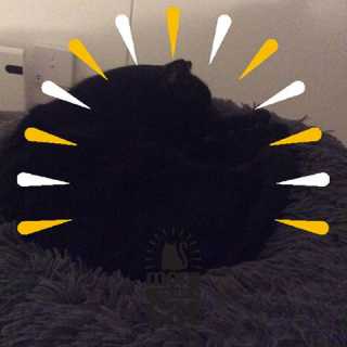 Sonja Nightingale photo