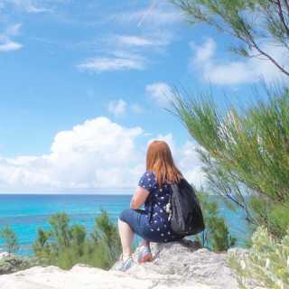 Leci-Suzane Lemur photo