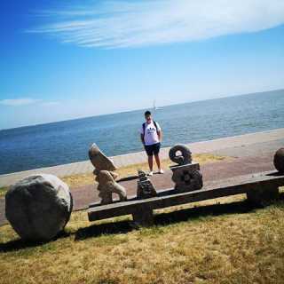 Neimantas Budvytis photo