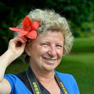 Stefania Boddi photo