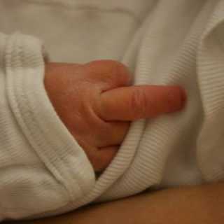 Yiorgos Rekleitis photo