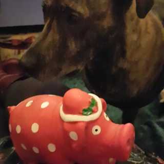 Heather Stirling photo