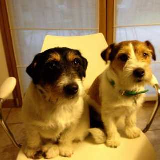 Paola Del-Bianco photo