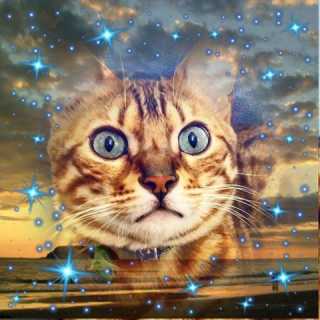 Alcyona Karukera photo