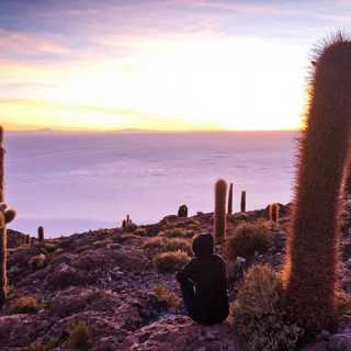 Faustine Moureu photo