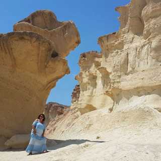 Deimant Koniuvien photo