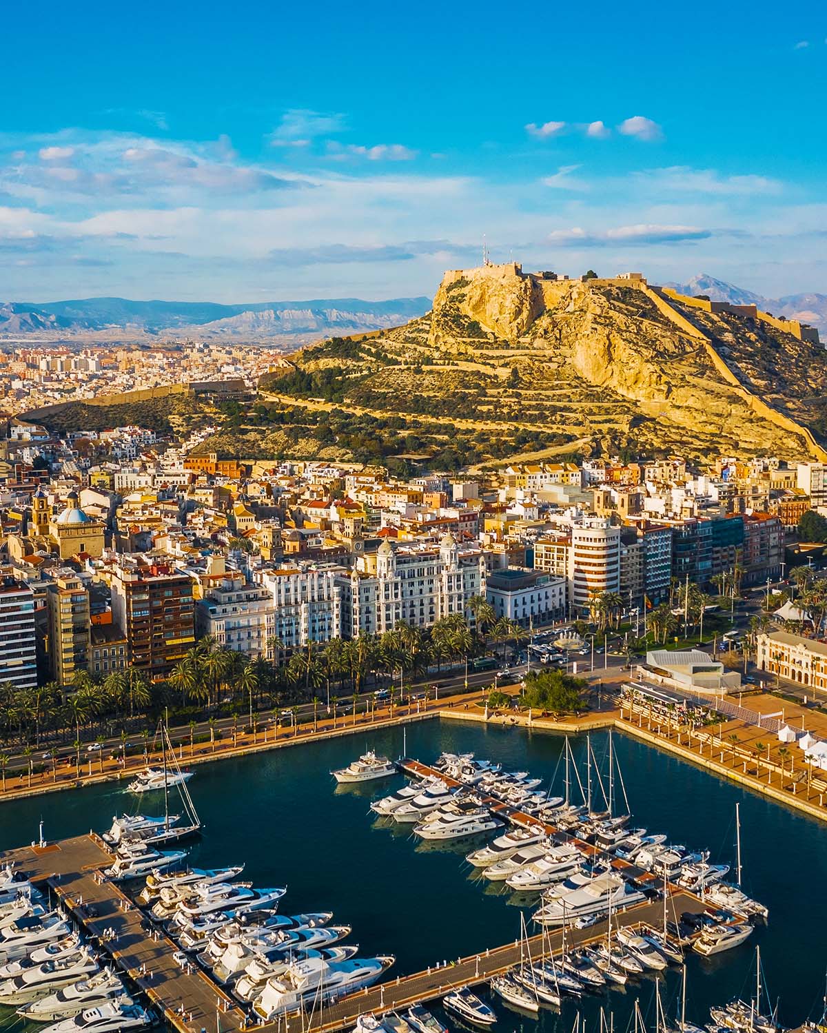 Alicante