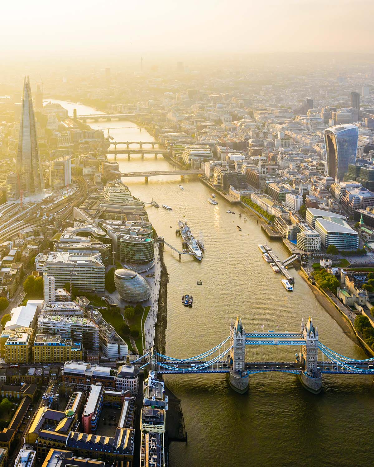 Thames River Cruises