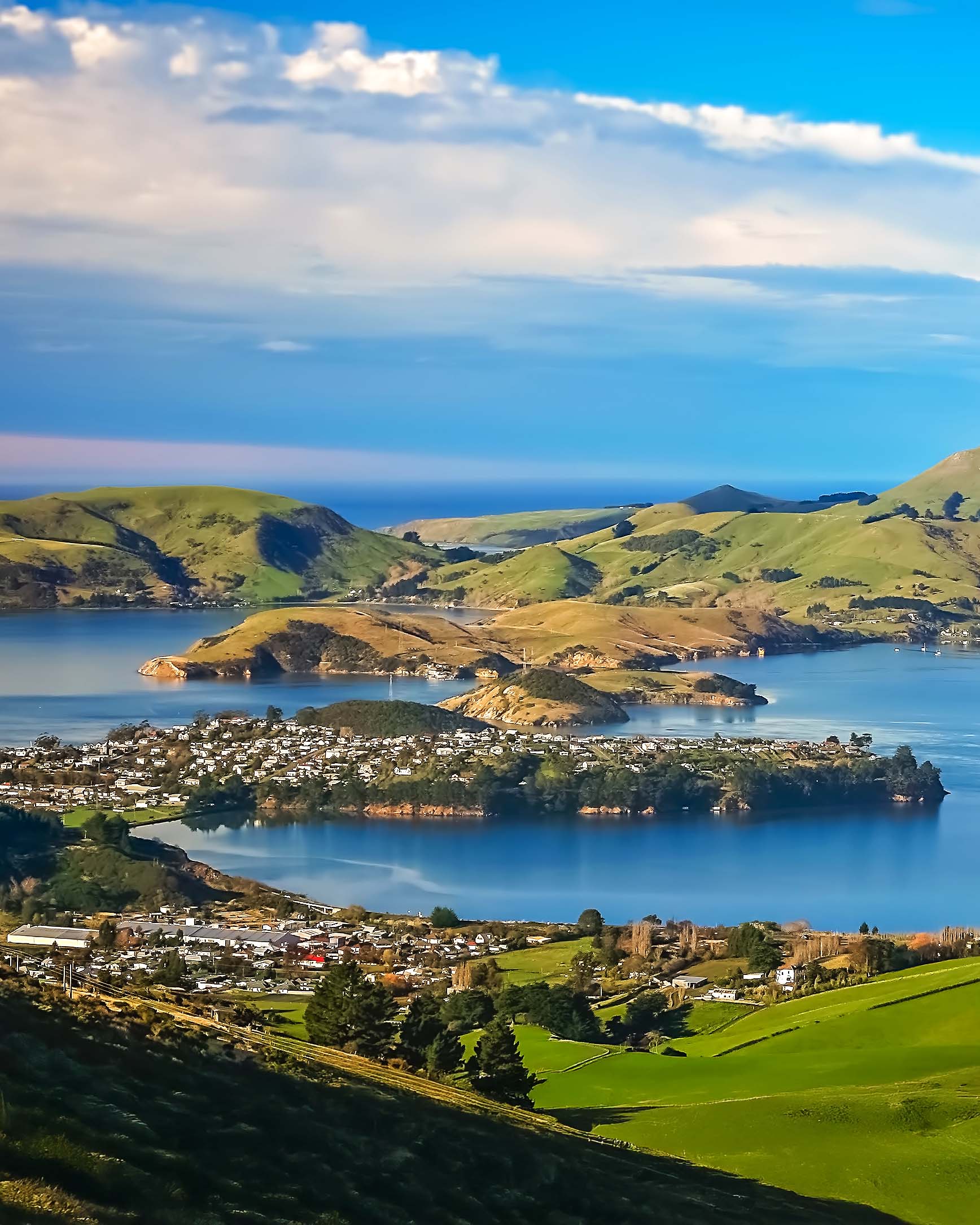 Dunedin 