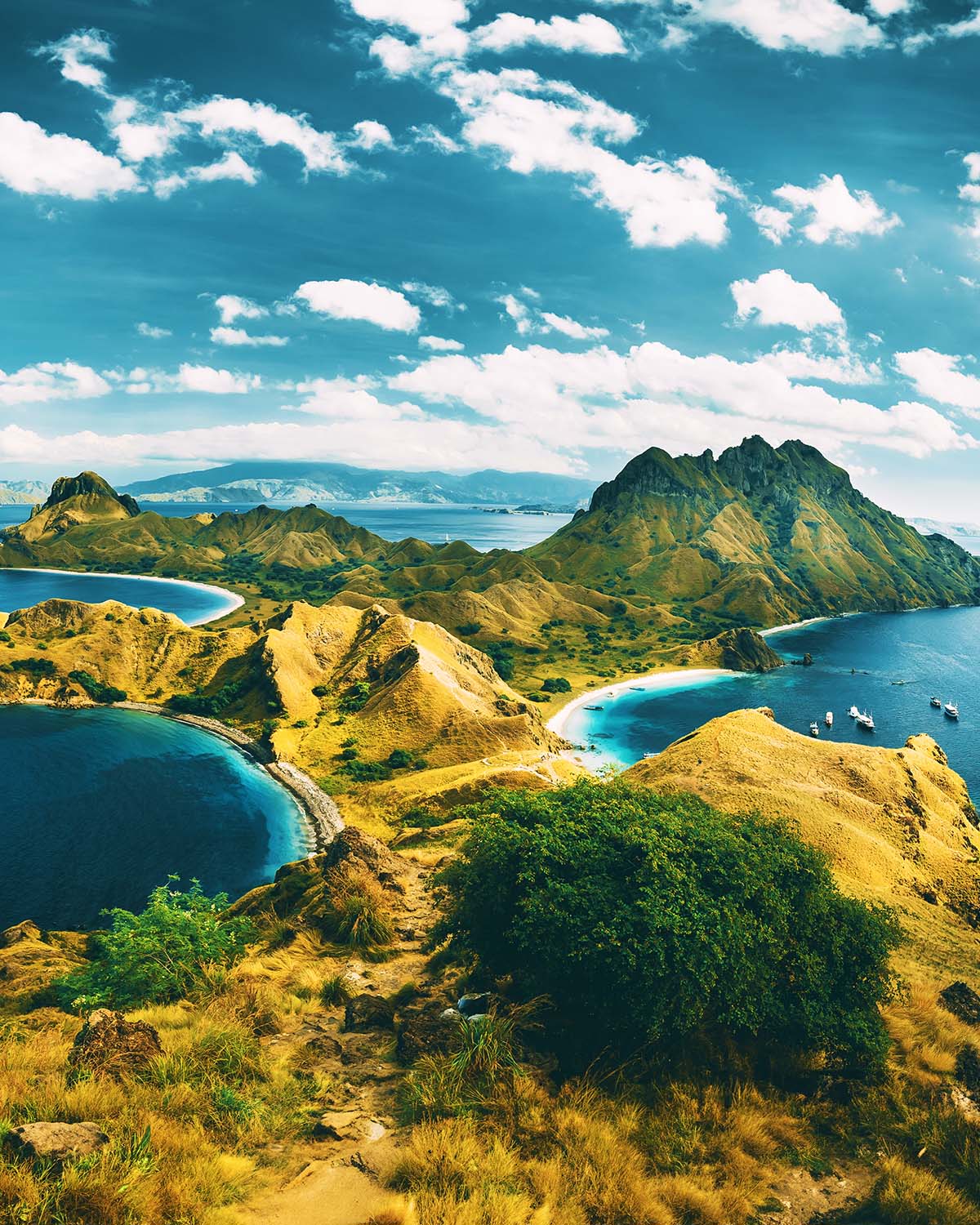 Komodo National park