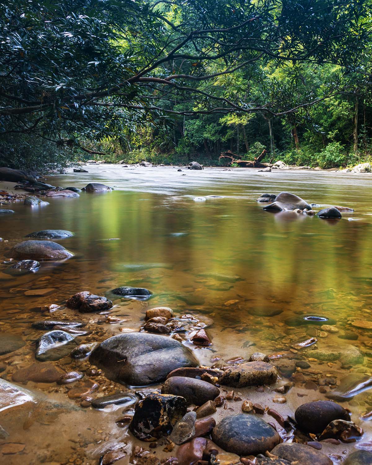 Taman Negara National park