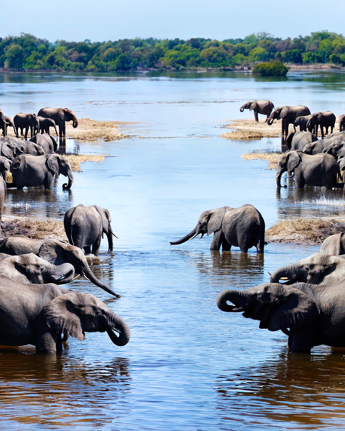Chobe National park