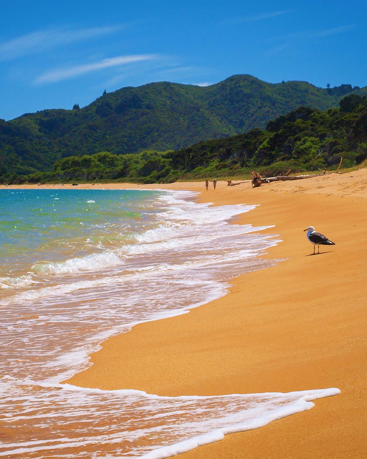 Abel Tasman National park