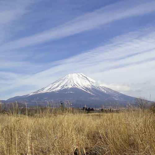 Fuji photo