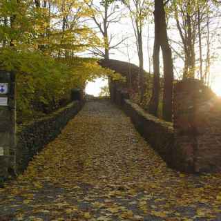 Burgruine Reichenfels