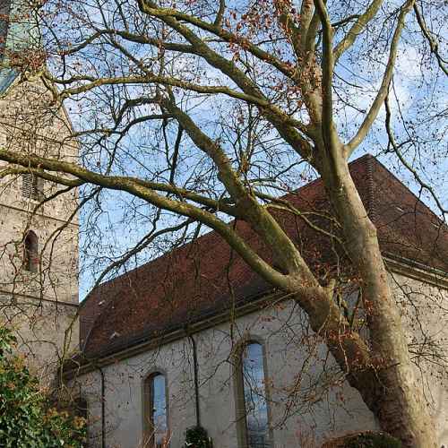 Reformierte Kirche Herzogenbuchsee photo