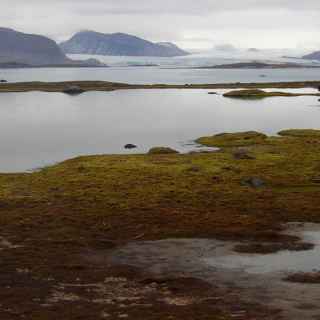 Kongsfjorden