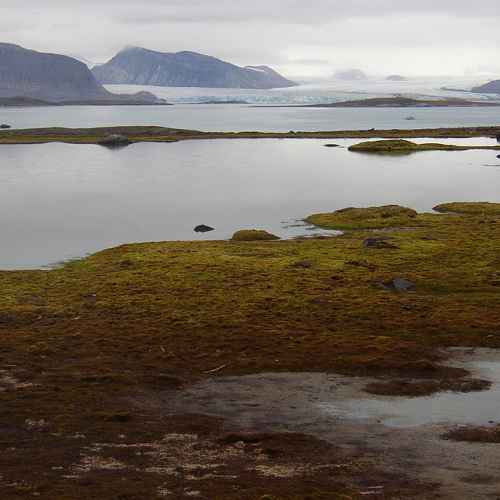 Kongsfjorden photo