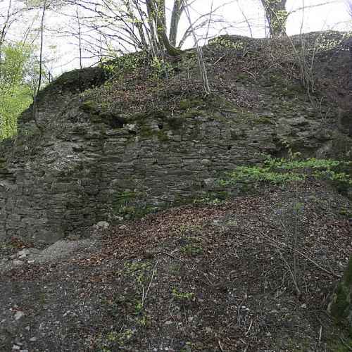 Burgruine Borghausen photo