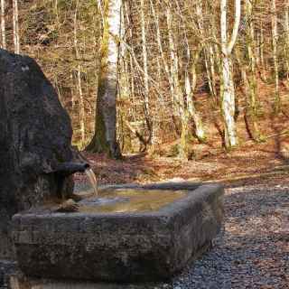 Glasbrunnen