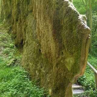 Wachsender Felsen