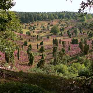 Totengrund