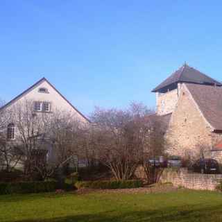 Burg Friedelsheim