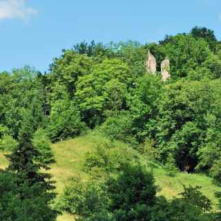 Ruine Neckarburg