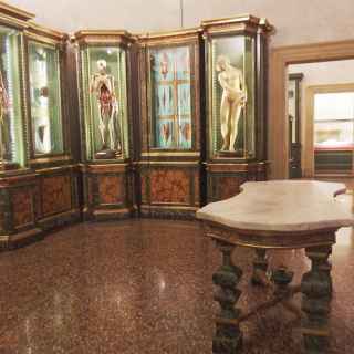 Museo di Palazzo Poggi photo