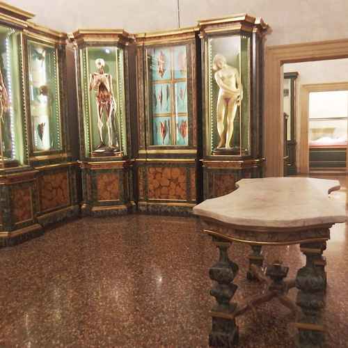 Museo di Palazzo Poggi photo