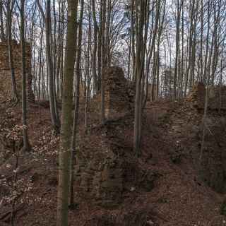 Burgruine Haimburg