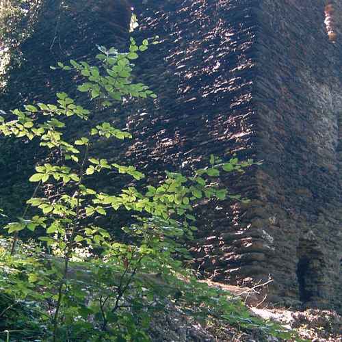 Burg Stein photo