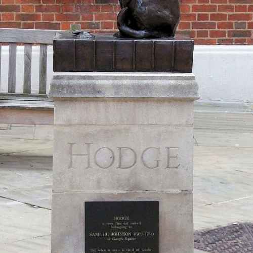 Hodge the Cat