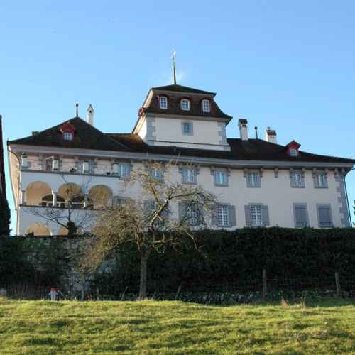 Schloss Hilfikon photo
