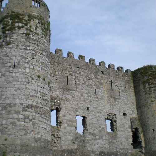Carlow Castle photo